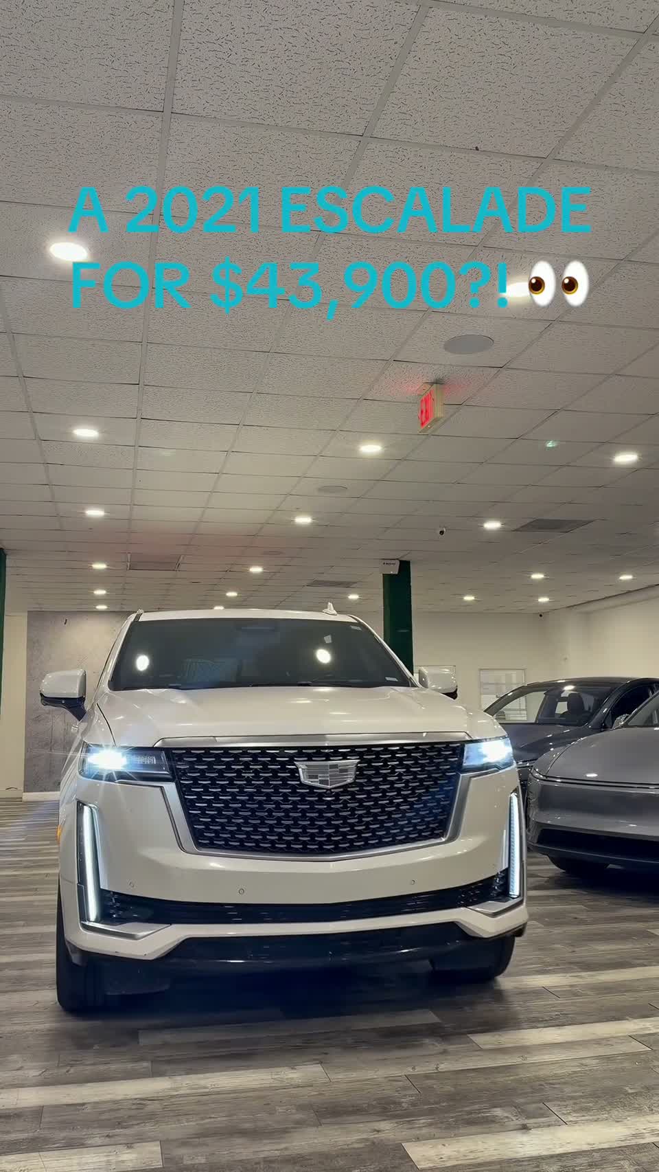 Cadillac Showcase